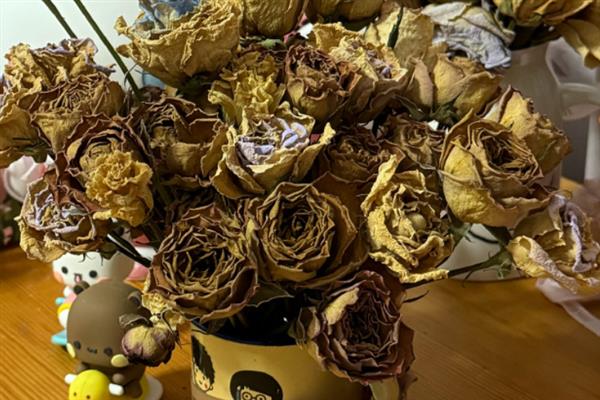 干花买回来如何处理，需要将其放置在室内半阴环境中