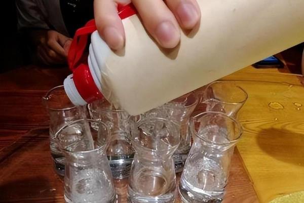 陈王酒是什么地方的特产，是山东省菏泽市鄄城县的特产