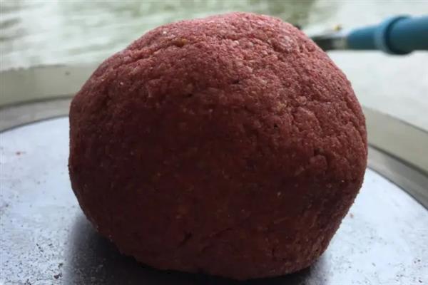 六月份能钓鲤鱼，六月份的垂钓效果比较好