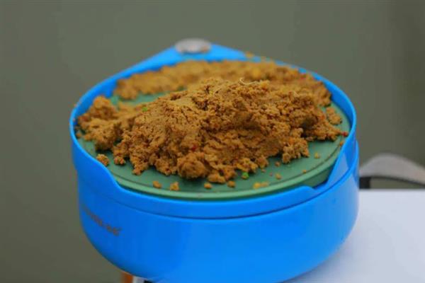 六月份能钓鲤鱼，六月份的垂钓效果比较好