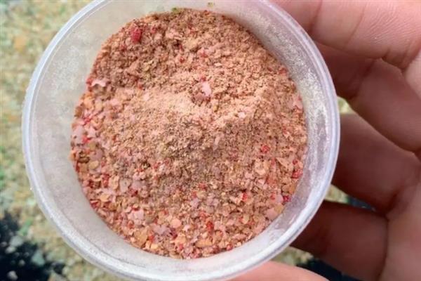 钓鲫鱼用什么饵料，可选择红虫、蚯蚓等