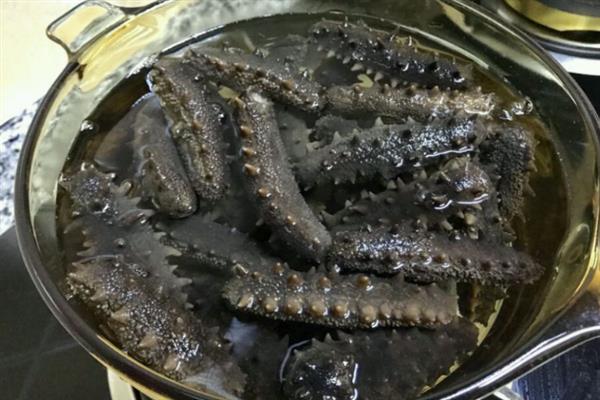 怎么泡发海参，建议全程使用纯净水泡发