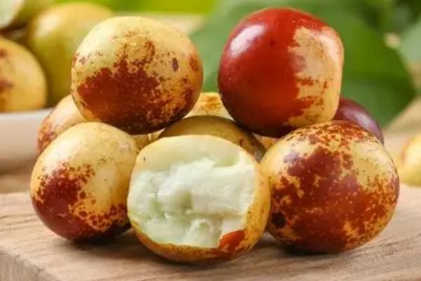 仓鼠可以吃哪些食物，可以吃小米、香蕉、桃子等