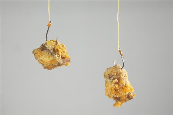 用红虫颗粒窝料打窝要不要泡发，泡发后更方便使用