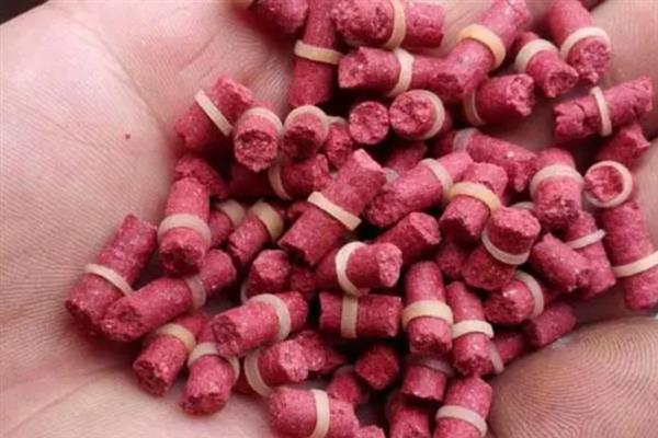 用红虫颗粒窝料打窝要不要泡发，泡发后更方便使用