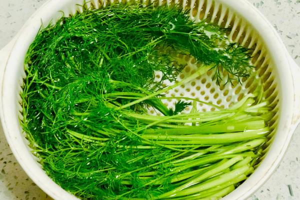 茴香的收获时间，5-6月份和9-10月份均可收获