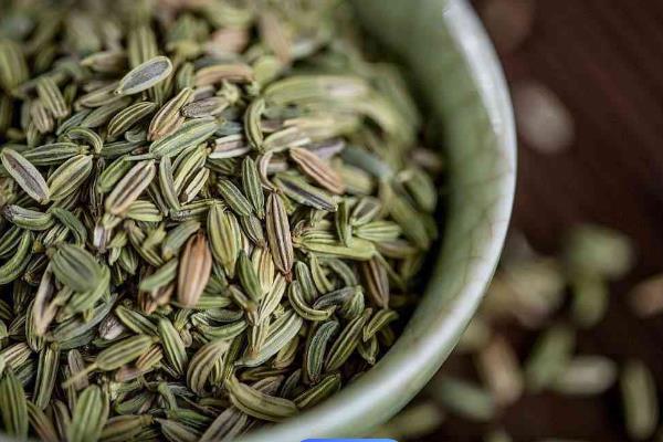 茴香的收获时间，5-6月份和9-10月份均可收获