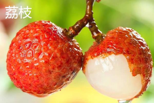龙眼和荔枝有什么区别，前者表皮呈土黄色、后者表皮呈红褐色