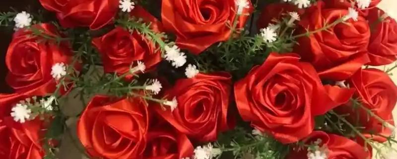 圣诞节适合送哪些花卉，玫瑰花、百合花、郁金香等品种可以考虑
