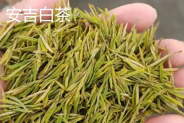 绿茶怎么冲泡，向茶杯注水让热水冲动茶叶