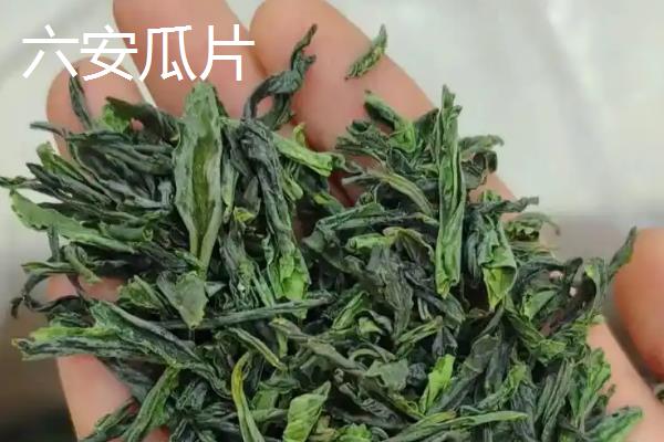 绿茶怎么冲泡，向茶杯注水让热水冲动茶叶