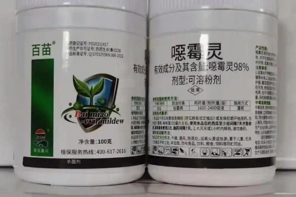 辣椒死苗怎么办，根据病害类型喷施对应药物