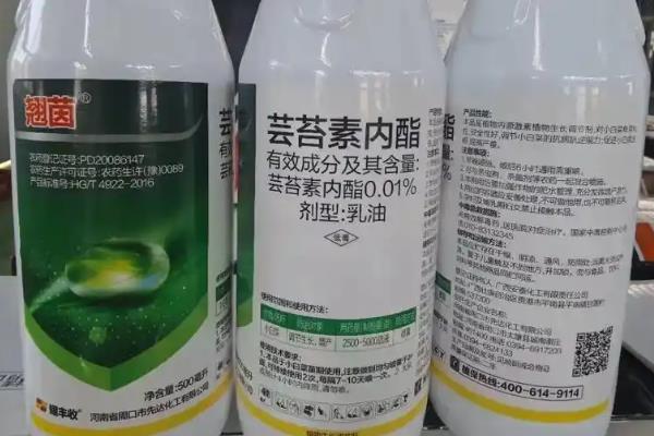 打什么药能够让柑橘快速着色增甜，芸苔素内酯是不错的选择