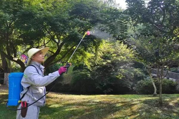 紫薇花开的含义，代表坚强、雄辩