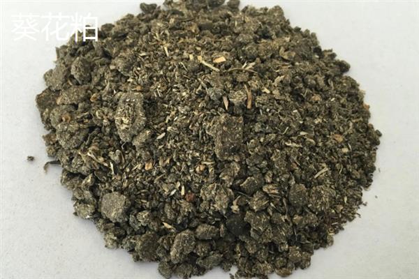 自配饲料没有豆粕可以拿什么代替，可以用棕榈粕、棉籽粕等代替