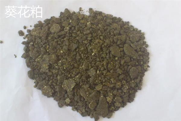 自配饲料没有豆粕可以拿什么代替，可以用棕榈粕、棉籽粕等代替