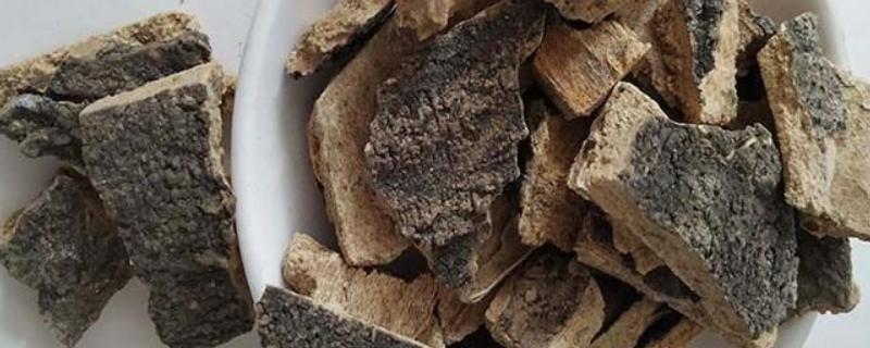农村常见的香椿树皮有何作用，可用来提取植物精油、做香料、做特色饰品等