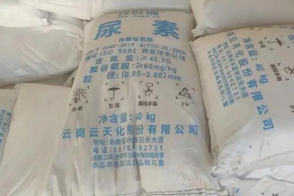 玉米孕穗期需要哪种肥料，追施2-3次尿素可提高产量