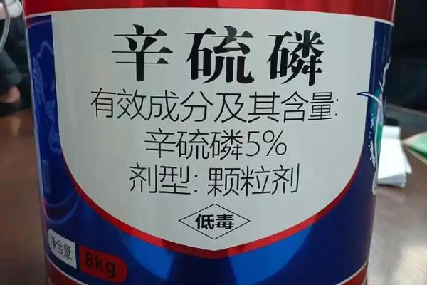 玉米孕穗期需要哪种肥料，追施2-3次尿素可提高产量