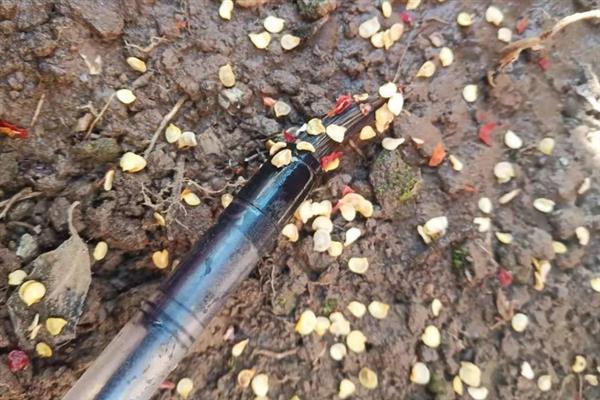 菜椒一亩地产多少斤，一般能产1-2千斤左右