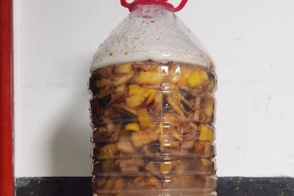 怎么把水果皮做成花肥，洗净切碎后装入容器中发酵