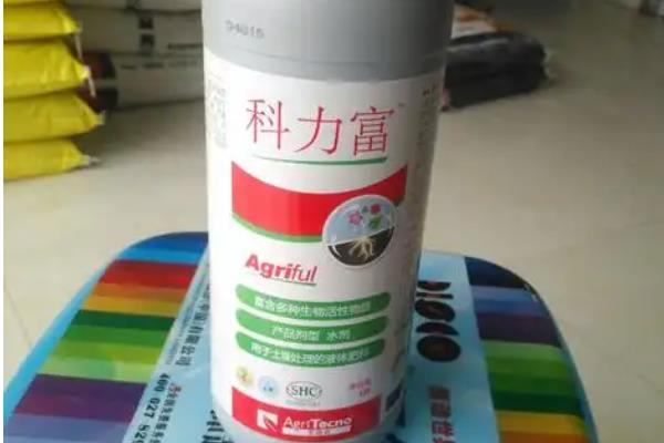 水稻苗床的管理技术，播种至立针期要进行保温