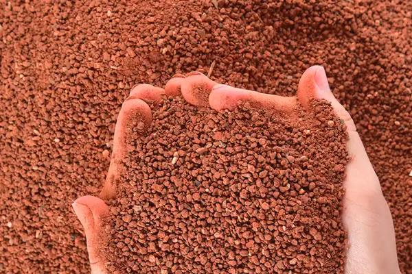 怎么养殖防城金花茶，每个月追施一次肥料