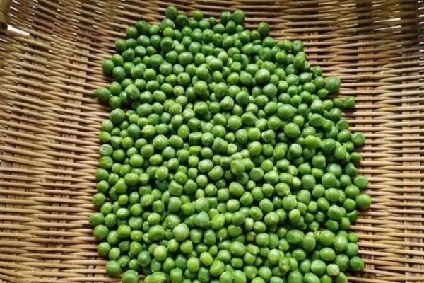 豌豆可以用冰箱保存吗，放在冰箱中可延长保质期