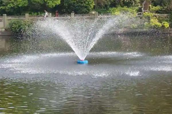 什么淡水鱼好养，草鱼通常比较好养