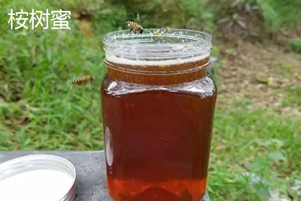 桉树蜜好还是百花蜜好，百花蜜的色泽与口感更优