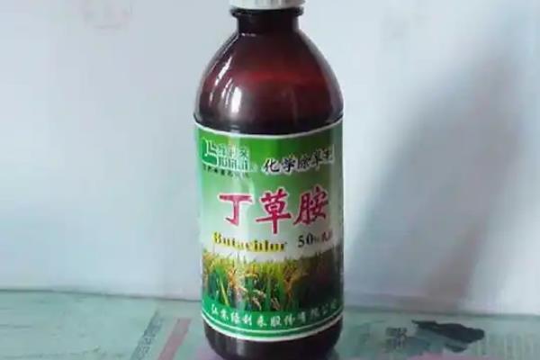 水稻除草剂的品种，常见的有吡嘧磺隆、苄嘧磺隆等