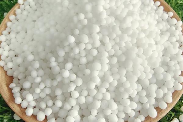 怎么种植大蒜，生长期需勤施薄肥