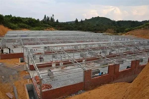 猪舍如何建造，要使用隔热材料