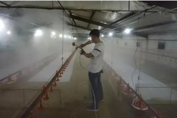 猪舍如何建造，要使用隔热材料