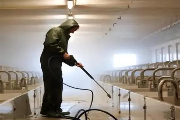 猪舍如何建造，要使用隔热材料