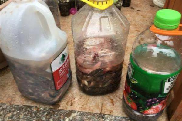 废油发酵成肥料的方法，堆肥发酵只需2-3个月即可成功