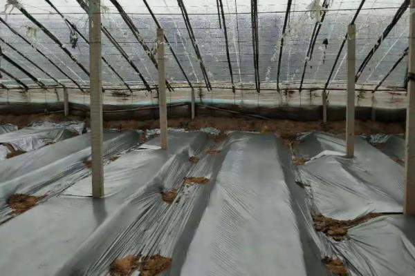 对蔬菜覆盖地膜的作用，能起到提高地温、防旱防涝、防土壤板结等效果