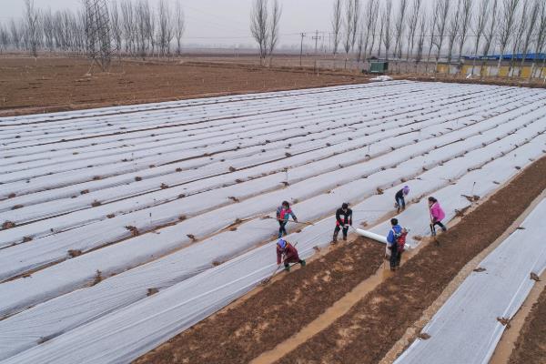 对蔬菜覆盖地膜的作用，能起到提高地温、防旱防涝、防土壤板结等效果