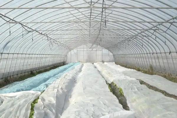 对蔬菜覆盖地膜的作用，能起到提高地温、防旱防涝、防土壤板结等效果