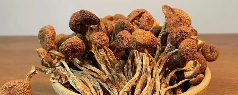 菌菇的种类，常见的有香菇、金针菇、茶树菇等