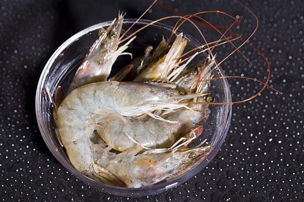 厄瓜多尔白虾简介，别称凡纳对虾、白肢虾等