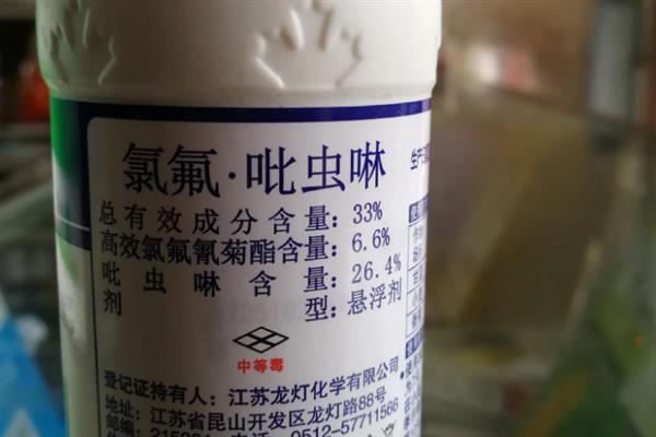 生姜蓟马怎么防治，喷施吡虫啉、噻虫嗪等药物具有防效