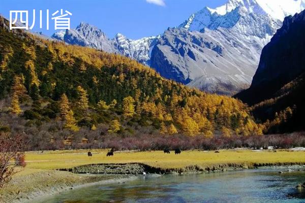 哪些地方产出葛根，主产于湖北、陕西、四川等省份