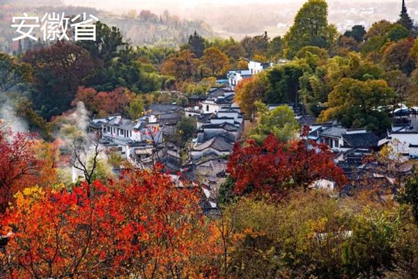 哪些地方产出葛根，主产于湖北、陕西、四川等省份