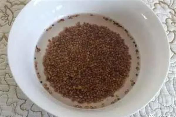 怎样栽青菜更好，肥料以氮肥为主