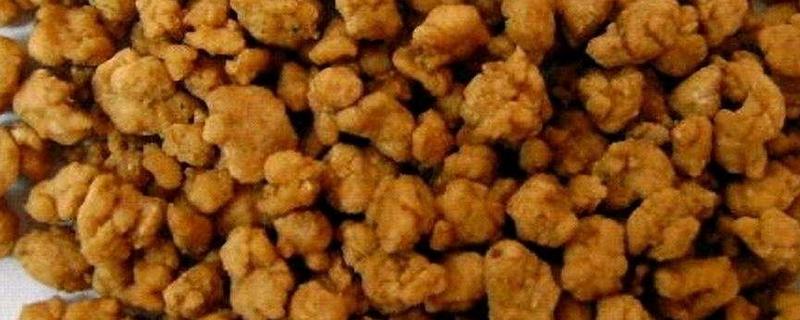 阿魏可以钓鱼吗，阿魏是可以钓鱼的