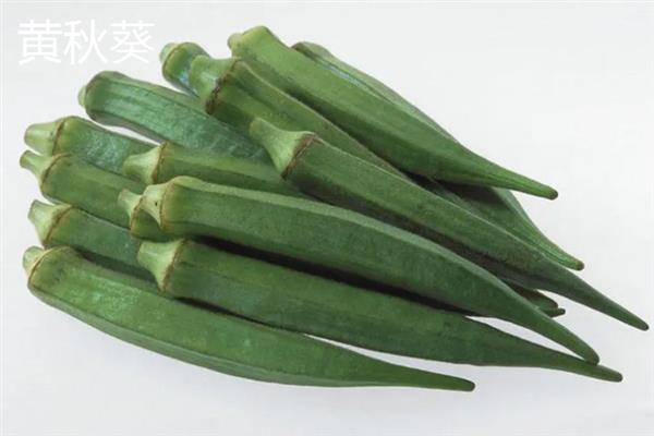 黄秋葵和绿秋葵的区别，二者没有区别