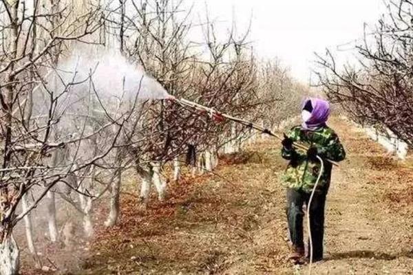 使用植物防冻剂的时间，晚秋、初冬、春季倒春寒这几个时期最合适