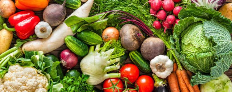 蔬菜轮换种有什么优点，可有效利用土壤养分并控制病害相互传染