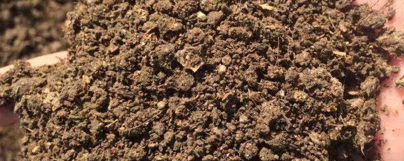 有机肥和生物菌肥的区别，前者本身含有多种养分、后者通过微生物的生命活动产生肥效